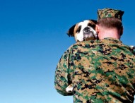 Shelter to Soldier and Griffin Funding matching rescue dogs with veterans