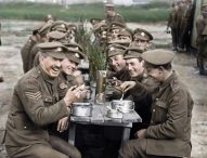 See ‘They Shall Not Grow Old’ first!