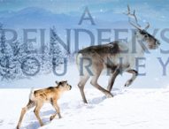 :::Giveaway Time!!!::: Meet Ailo, a newborn reindeer who embarks on an incredible odyssey with the help of his mother.