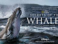 SECRETS OF THE WHALES Comes to Disney+