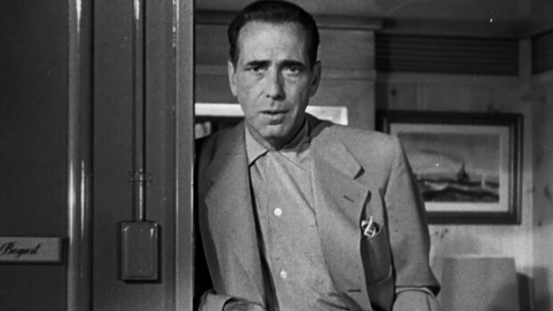 BOGART: Life Comes in Flashes